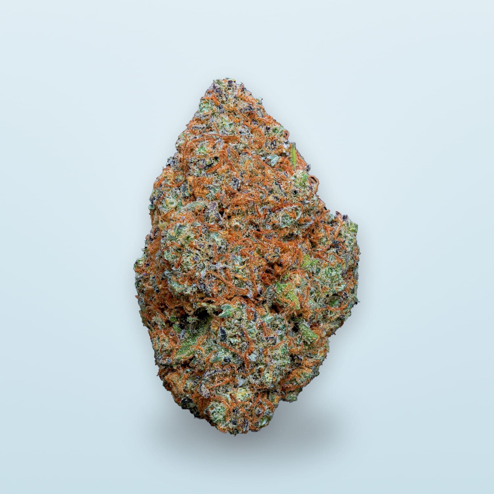 The Pulsar head on a pale blue field, orange pistils over a violet body