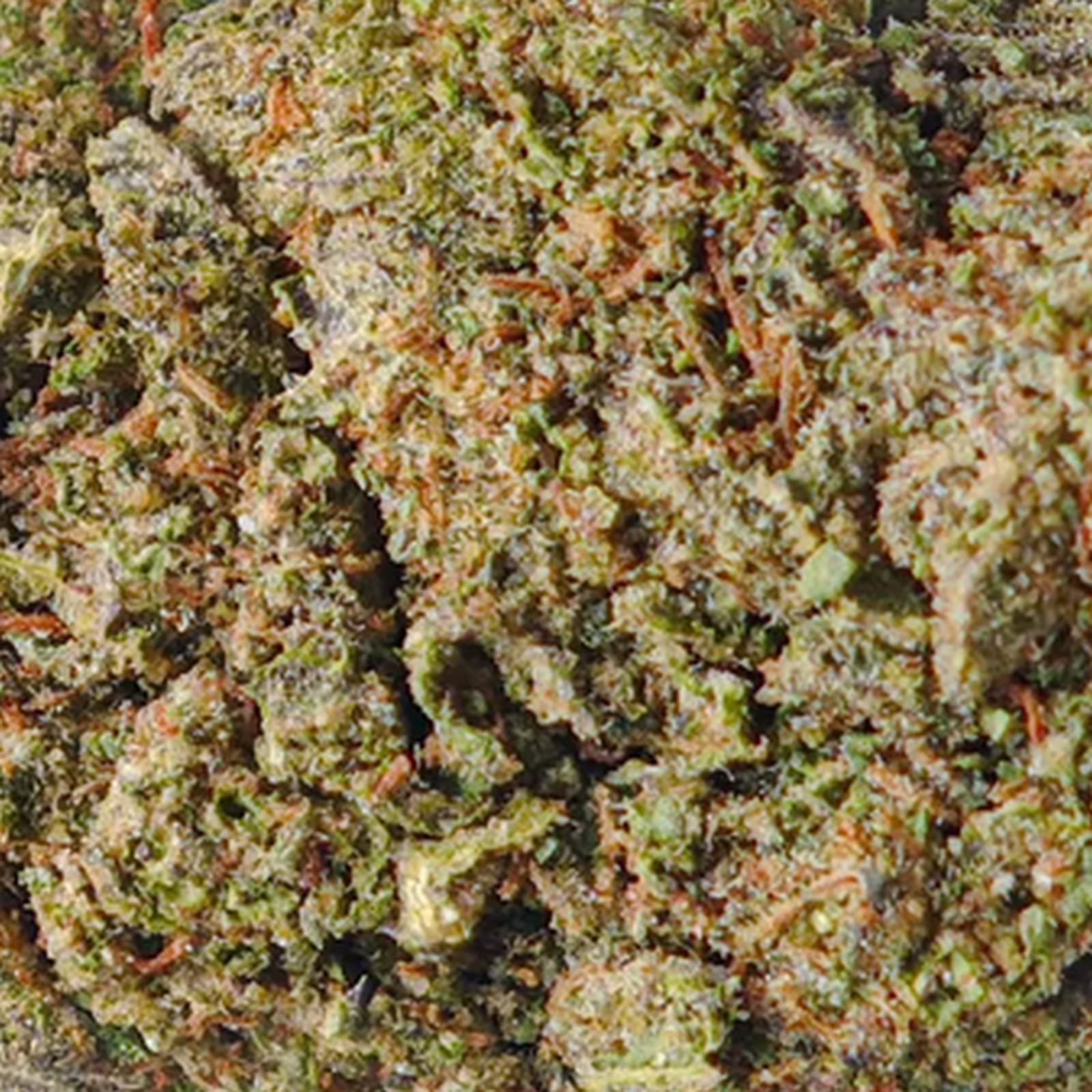 The head in macro: orange pistils and tight trichomes filling the frame