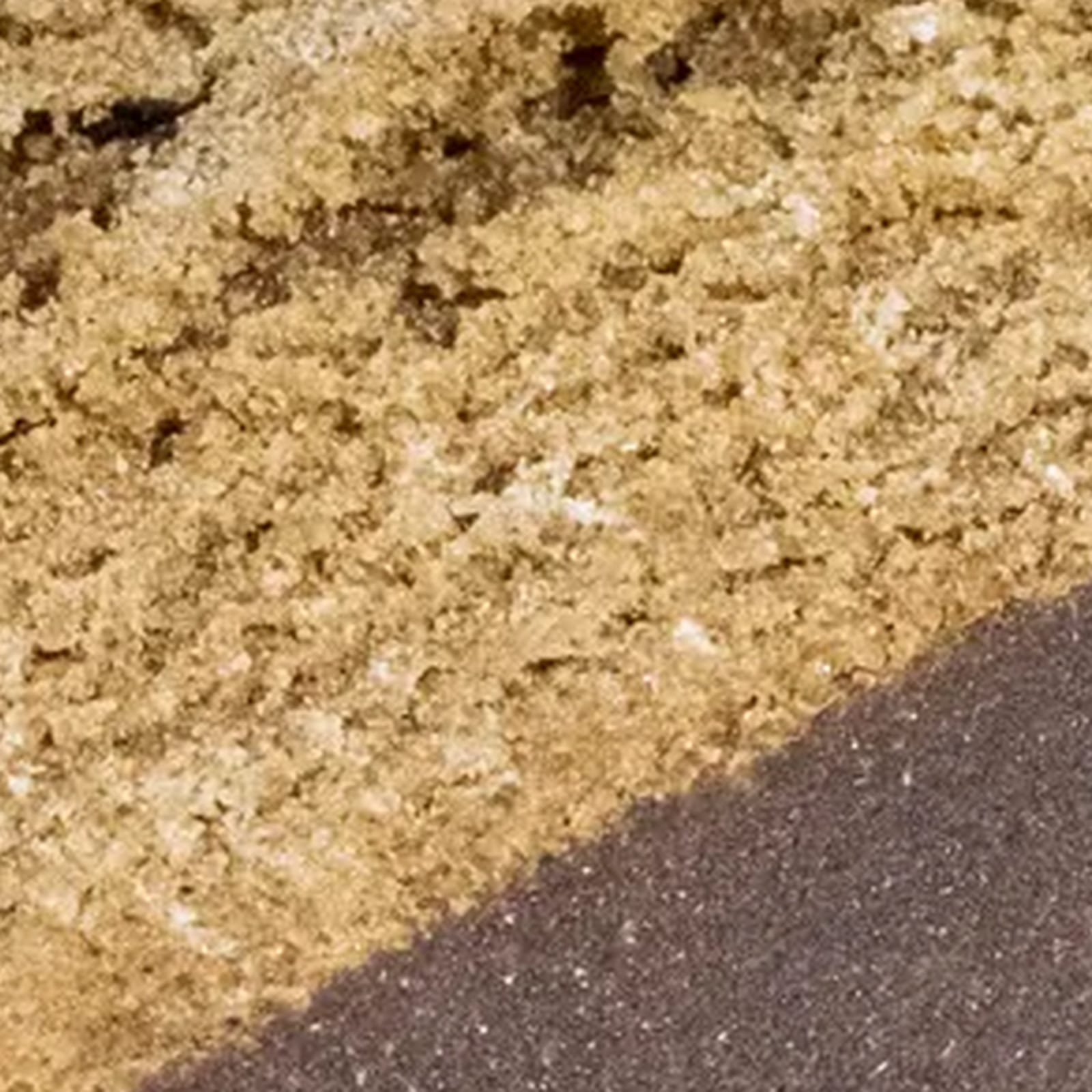 The sandy core of the slab in macro, golden grain filling the frame